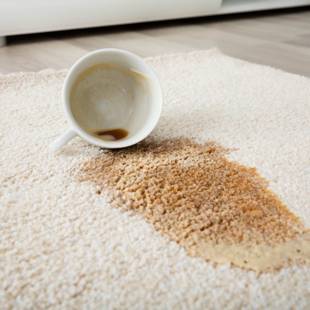 Professional Rug Cleaning | Barrett Floors